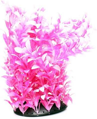 Show full view: Underwater Treasures White Tipped Ludwigia Fish Ornament slide 1 of 1