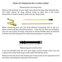 Up Country Wide Counting Sheep Dog Collar, Small: 9 to 15-in neck, 5/8-in wide slide 2 of 6