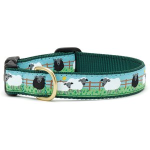 Up Country Wide Counting Sheep Dog Collar, X-Small: 6 to 12-in neck, 5/8-in wide