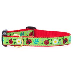 Up Country Wide Ladybugs Dog Collar, X-Small: 6 to 12-in neck, 5/8-in wide