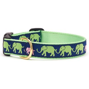 Up Country Wide Leader of the Pach Dog Collar, X-Small: 6 to 12-in neck, 5/8-in wide