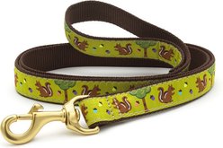 Up Country Nuts Dog Lead with D-Ring, Wide: 5-ft long, 1-in wide