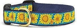 Up Country Sunflower Dog Collar, Blue & Yellow, Large