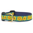 Up Country Sunflower Dog Collar, Blue & Yellow