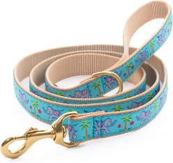 Up Country Trunk Show Dog Lead with D-Ring, Wide: 5-ft long, 1-in wide