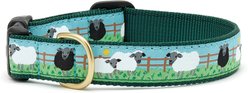 Up Country Wide Counting Sheep Dog Collar, Medium: 12 to 18-in neck, 1-in wide