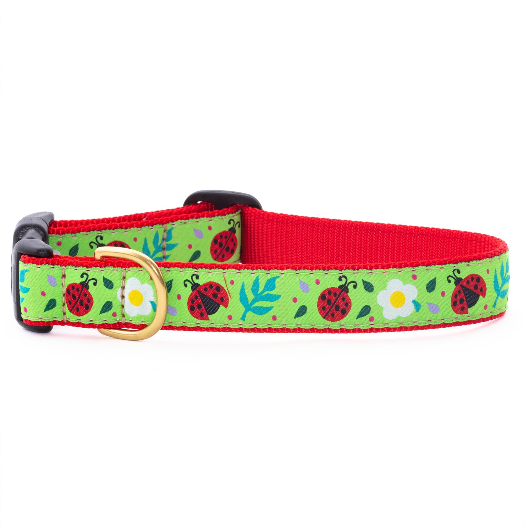 Up Country Wide Ladybugs Dog Collar, Medium: 12 to 18-in neck, 1-in wide