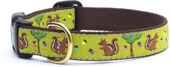 Up Country Wide Nuts Dog Collar, XX-Large: 21 to 27-in neck, 1-in wide