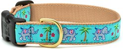 Up Country Wide Trunk Show Dog Collar, Medium: 12 to 18-in neck, 1-in wide