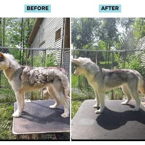 Uproot Clean 7-in-1 Vacuum Powered Dog & Cat Grooming Kit, Blue/White