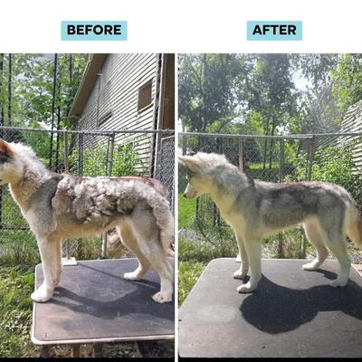 Show full view: Uproot Clean 7-in-1 Vacuum Powered Dog & Cat Grooming Kit, Blue/White slide 3 of 11