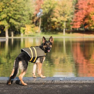 Show full view: US ARMY Dog Life Vest, Dark Camo, X-Large slide 6 of 8