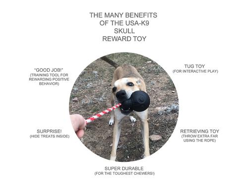 Show full view: USA-K9 Magnum Skull Treat Dispensing Tough Dog Chew Toy, Black, Large slide 5 of 8