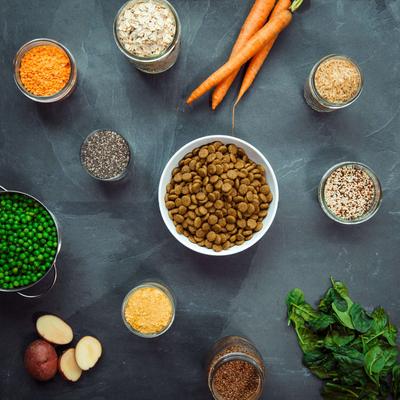 Show full view: V-Dog Kind Kibble Mini Bites Vegan Adult Dry Dog Food, 4.5-lb bag slide 6 of 9