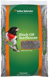 Valley Splendor Black Oil Sunflower Seeds Wild Bird Food, 10-lb bag