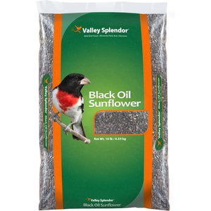 Valley Splendor Black Oil Sunflower Seeds Wild Bird Food, 10-lb bag