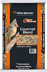 Valley Splendor Gourmet Blend Seeds Wild Bird Food, 40-lb bag