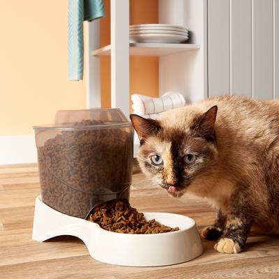Show full view: Van Ness Automatic Dog & Cat Feeder, 1-cup slide 3 of 5
