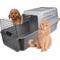 Show in main carousel: Van Ness Calm Carrier E-Z Load Sliding Drawer Cat Kennel, Gray slide 1 of 12