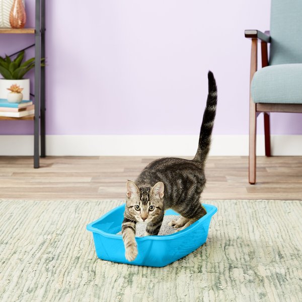 Fresh Step Plastic Disposable Cat Litter Pan, Blue