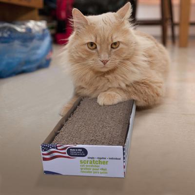 Show full view: Van Ness Cat Scratcher Pad Toy with Catnip, Single slide 3 of 8