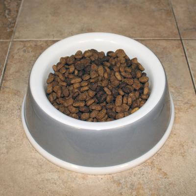 Show full view: Van Ness Ecoware Non-Skid Silicone Bamboo Dog Bowl, Medium: 3 cup slide 3 of 5