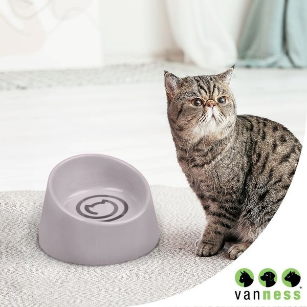 Van Ness Ecoware Raised Cat Bowl, Gray, Small