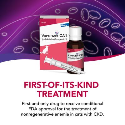 Show full view: Varenzin-CA1 25mg/mL Oral Suspension for Cats, 27mL bottle slide 7 of 10