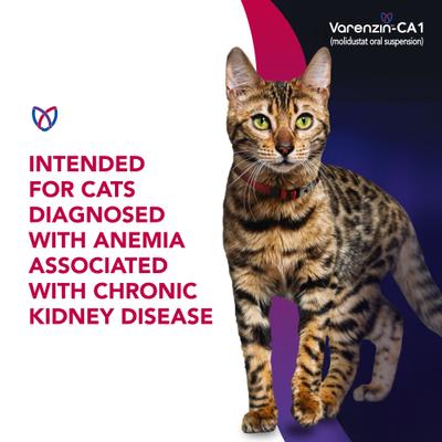 Show full view: Varenzin-CA1 25mg/mL Oral Suspension for Cats, 27mL bottle slide 4 of 10