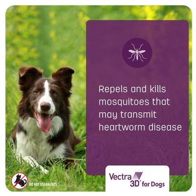 Show full view: Vectra 3D Flea & Tick Control for Dogs over 95lbs, 3 count slide 7 of 10