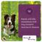 Show in main carousel: Vectra 3D Flea & Tick Spot Treatment for Dogs, 11-20 lbs, 3 Doses (3-mos. supply) slide 7 of 11
