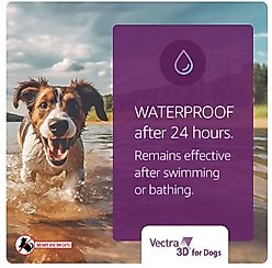 Vectra 3D Flea & Tick Spot Treatment for Dogs, 21-55 lbs, 12 Doses (12-mos. supply) slide 2 of 9