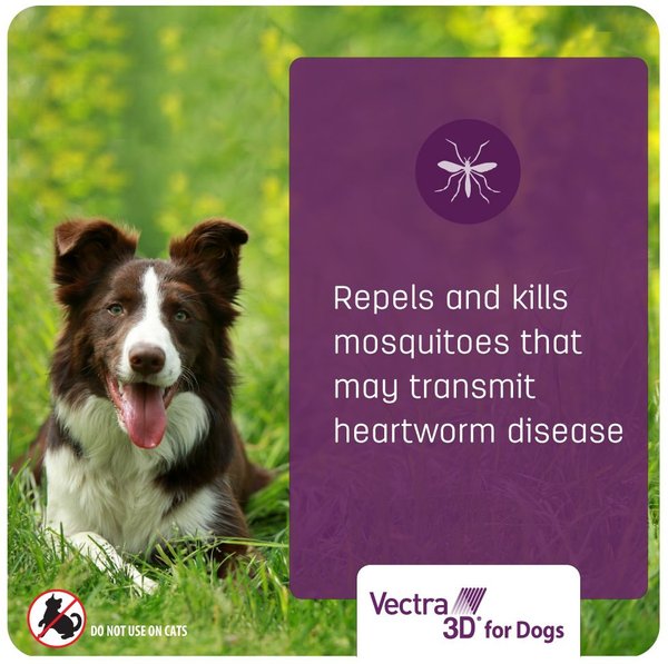 Show full view: Vectra 3D Flea & Tick Spot Treatment for Dogs, 21-55 lbs, 3 Doses (3-mos. supply) slide 7 of 11