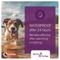 Show in main carousel: Vectra 3D Flea & Tick Spot Treatment for Dogs, 56-95 lbs, 12 Doses (12-mos. supply) slide 9 of 11