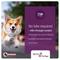 Show in main carousel: Vectra 3D Flea & Tick Spot Treatment for Dogs, 56-95 lbs, 6 Doses (6-mos. supply) slide 6 of 11