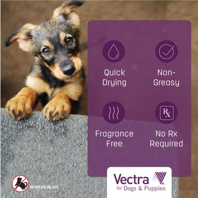 Show full view: Vectra Flea Spot Treatment for Large Dogs & Puppies, 56-100 lbs, (Lavender Box), 3 Doses (3-mos. supply) slide 7 of 10