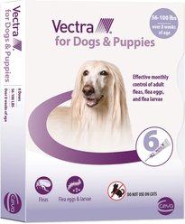 Vectra Flea Spot Treatment for Large Dogs & Puppies, 56-100 lbs, (Lavender Box), 6 Doses (6-mos. supply)