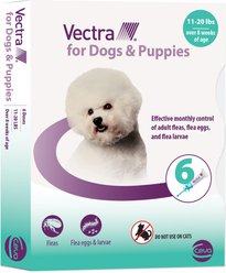 Vectra Flea Spot Treatment for Small Dogs & Puppies, 11-20 lbs, (Aqua Box), 6 Doses (6-mos. supply)