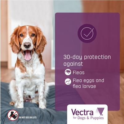 Show full view: Vectra Flea Spot Treatment for Small Dogs & Puppies, 11-20 lbs, (Aqua Box), 6 Doses (6-mos. supply) slide 6 of 9