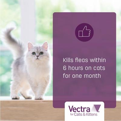 Show full view: Vectra Flea Spot Treatment for Cats & Kittens, over 9 lbs, (Green Box), 6 Doses (6-mos. supply) slide 4 of 10