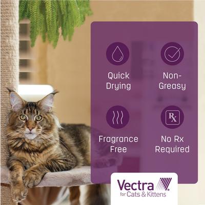 Show full view: Vectra Flea Spot Treatment for Cats & Kittens, over 9 lbs, (Green Box), 6 Doses (6-mos. supply) slide 7 of 10