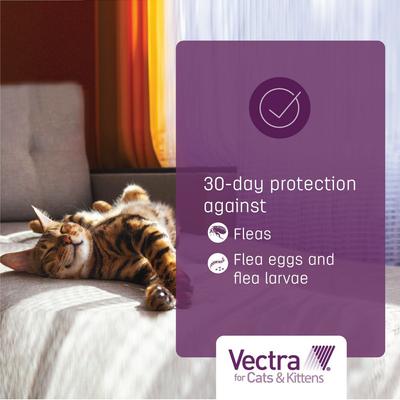 Show full view: Vectra Flea Spot Treatment for Cats & Kittens, over 9 lbs, (Green Box), 6 Doses (6-mos. supply) slide 6 of 10