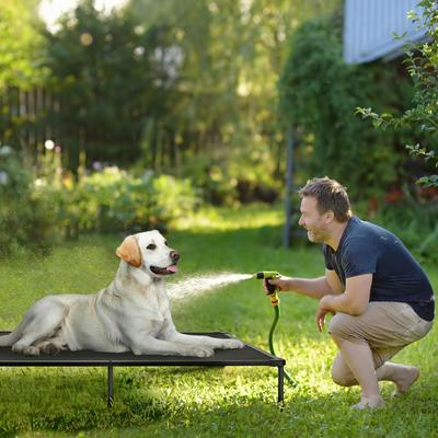 Show full view: Veehoo Chew-Proof Black Metal Frame Elevated Dog Bed, Black, XX-Large slide 8 of 10