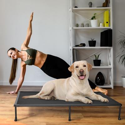 Show full view: Veehoo Chew-Proof Black Metal Frame Elevated Dog Bed, Black, XX-Large slide 6 of 10