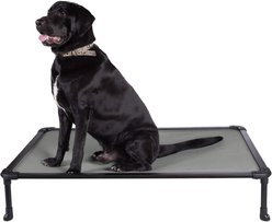 Veehoo Chew-Proof Rustless Aluminum Frame Elevated Dog Bed, Beige, Large