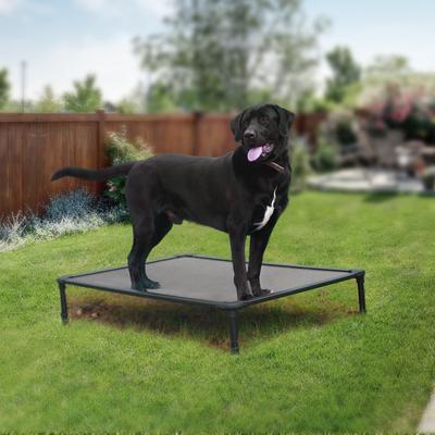 Show full view: Veehoo Chew-Proof Rustless Aluminum Frame Elevated Dog Bed, Beige, Large slide 9 of 12