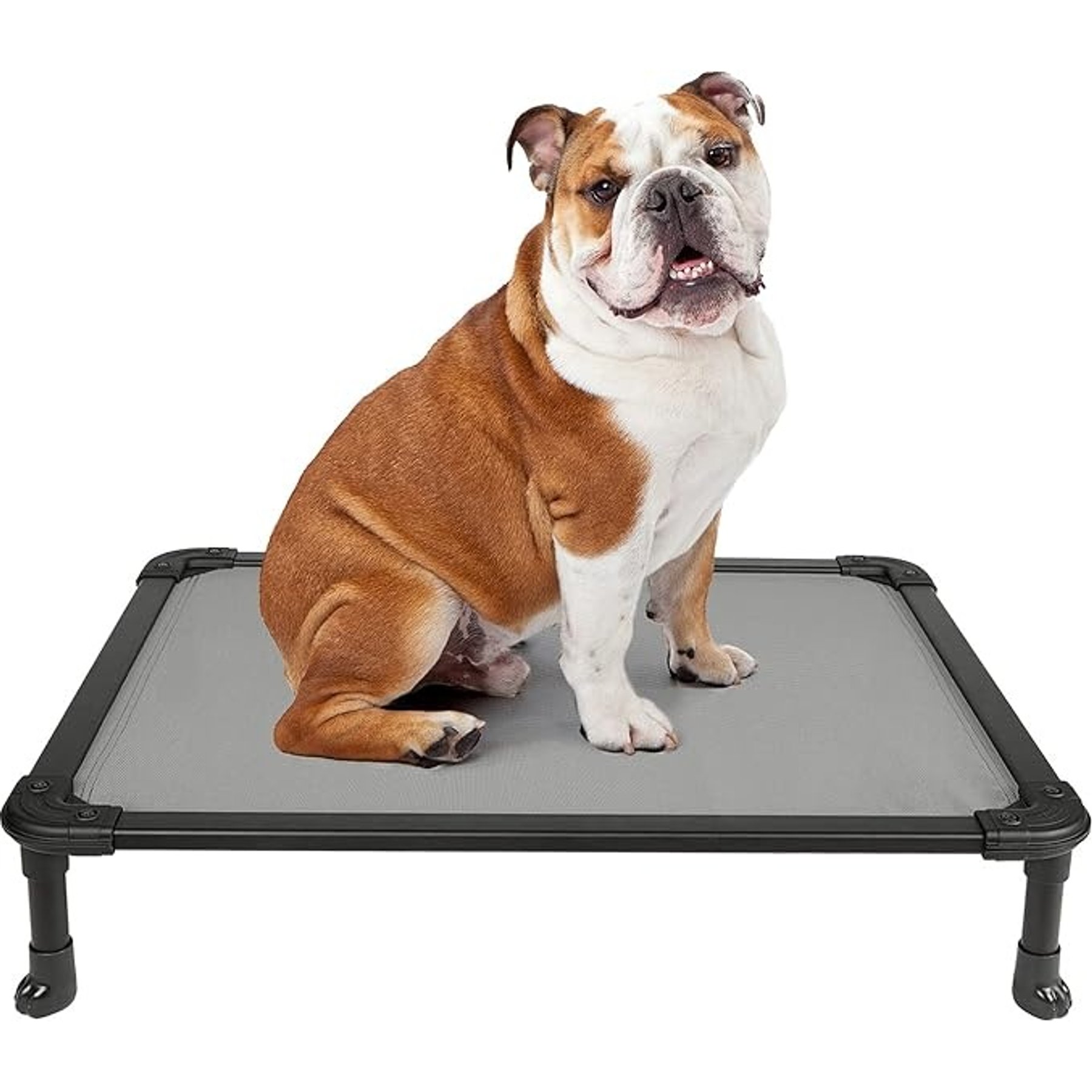 Veehoo Chew-Proof Rustless Aluminum Frame Elevated Dog Bed, Beige, Medium