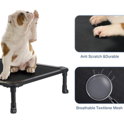 Show full view: Veehoo Chew-Proof Rustless Aluminum Frame Elevated Dog Bed, Black, Medium slide 3 of 11