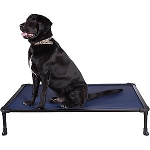 Veehoo Chew-Proof Rustless Aluminum Frame Elevated Dog Bed, Blue, Large