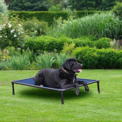 Show full view: Veehoo Chew-Proof Rustless Aluminum Frame Elevated Dog Bed, Blue, Large slide 9 of 11
